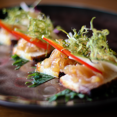 A Local’s Guide to Dining, Entertainment & Island Fun on Anna Maria Island, FL