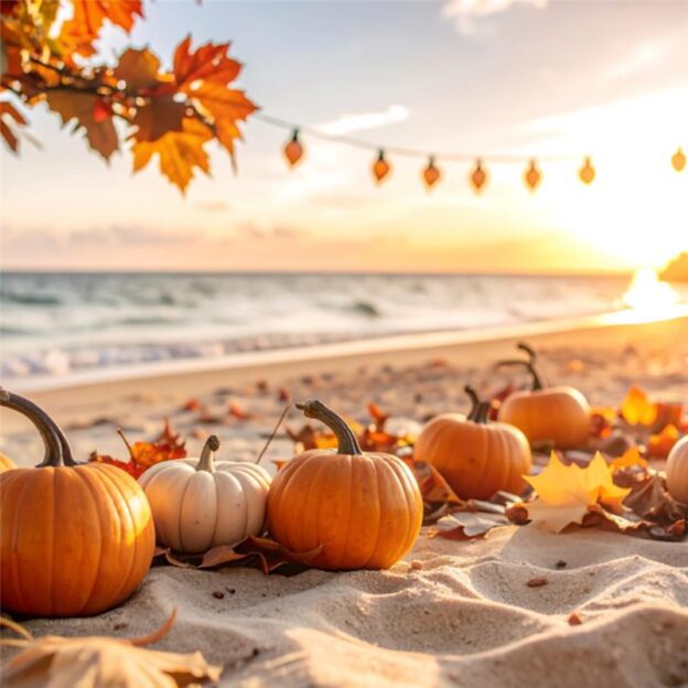 Anna Maria Island Fall Guide 2025: Festivals, Events & Beach Getaways