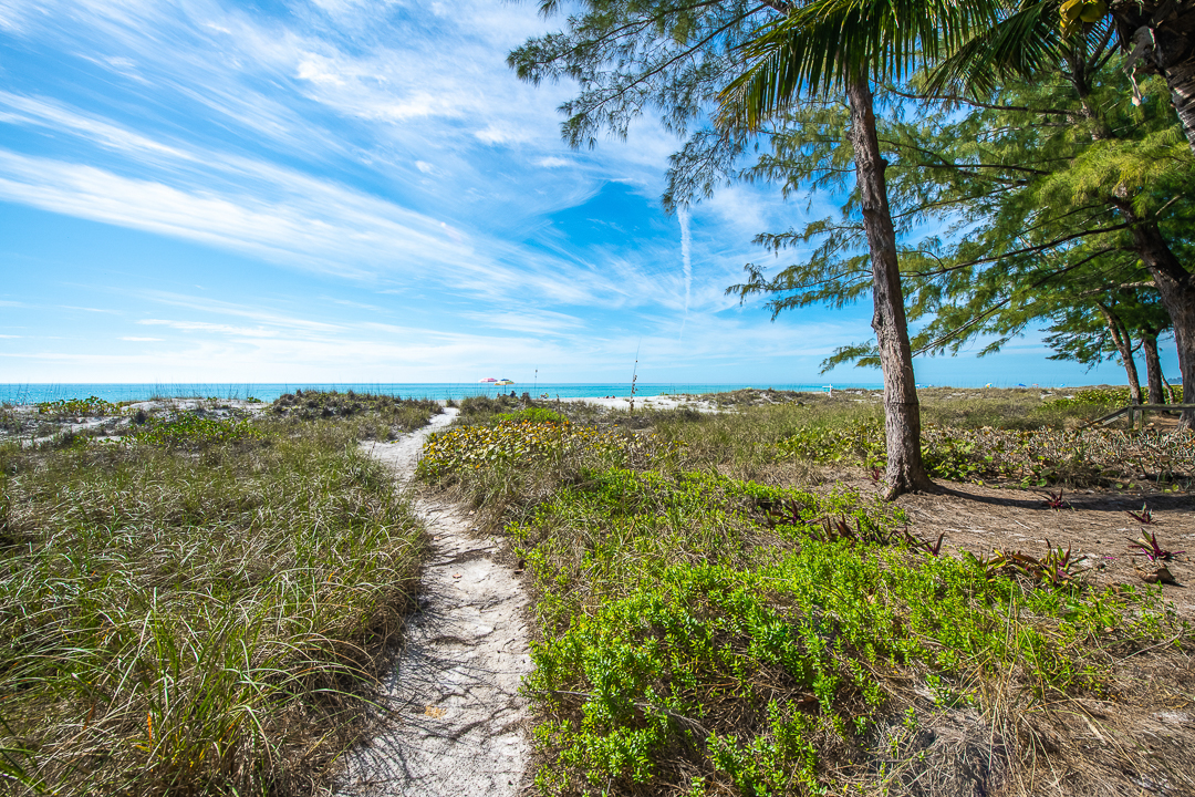 Let’s Learn about Beach Flag Warnings
