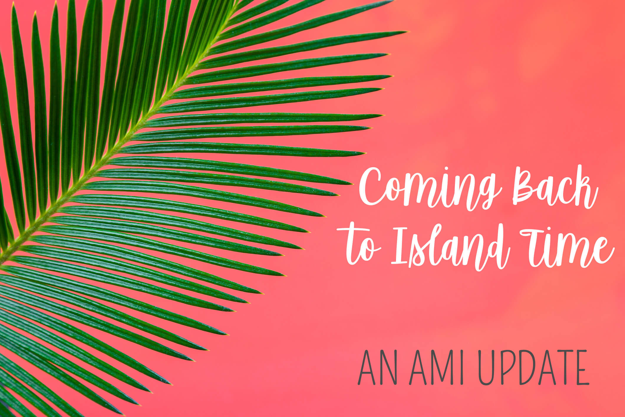 Coming Back to Island Time – An AMI Update