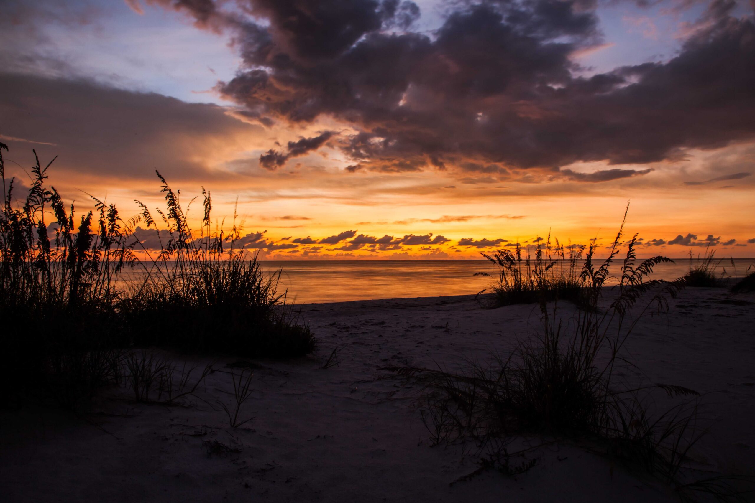 Take A Fun Day In Downtown Sarasota Florida!