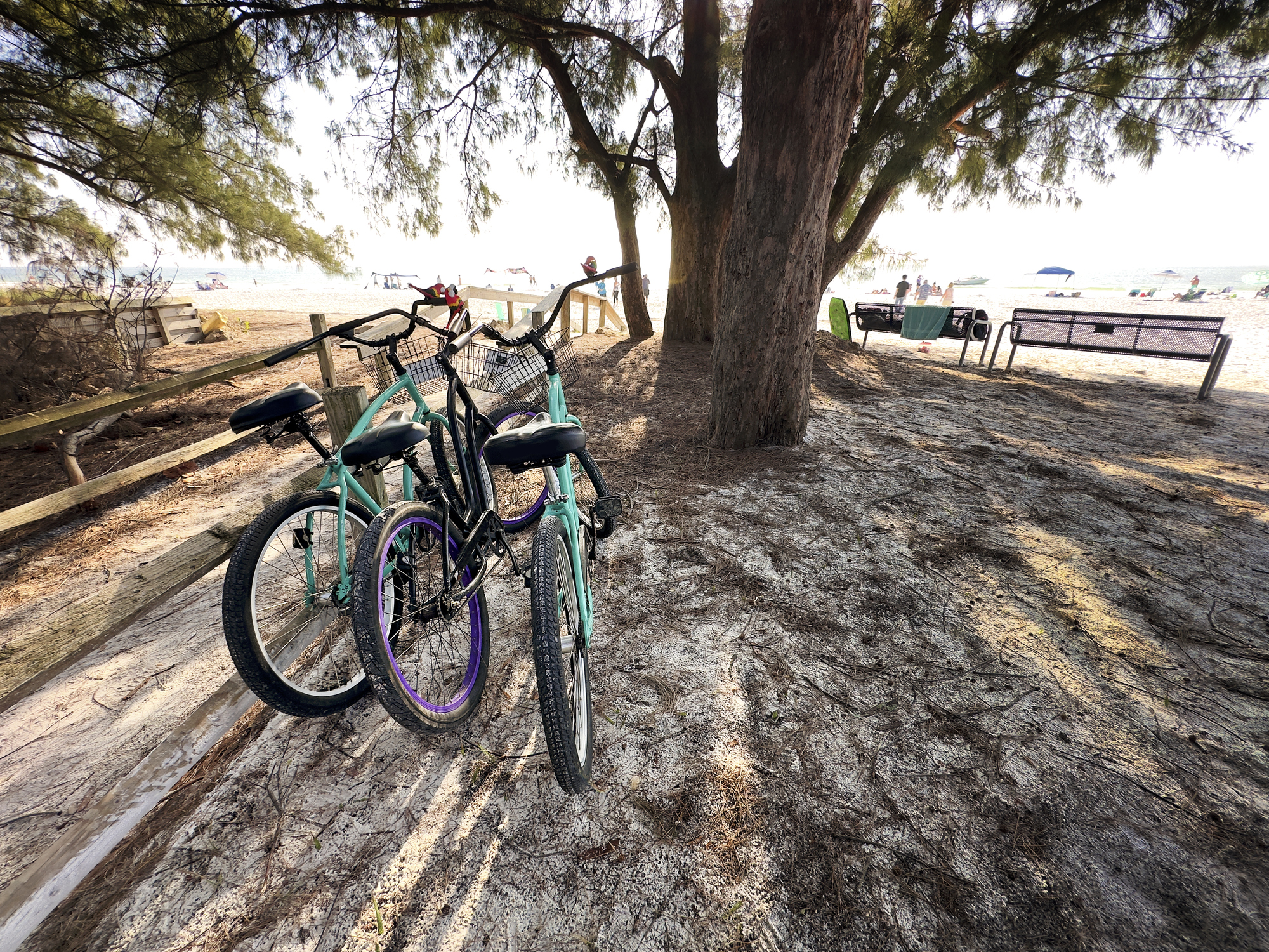 Explore Anna Maria Island by Bike: The Ultimate Family Adventure!