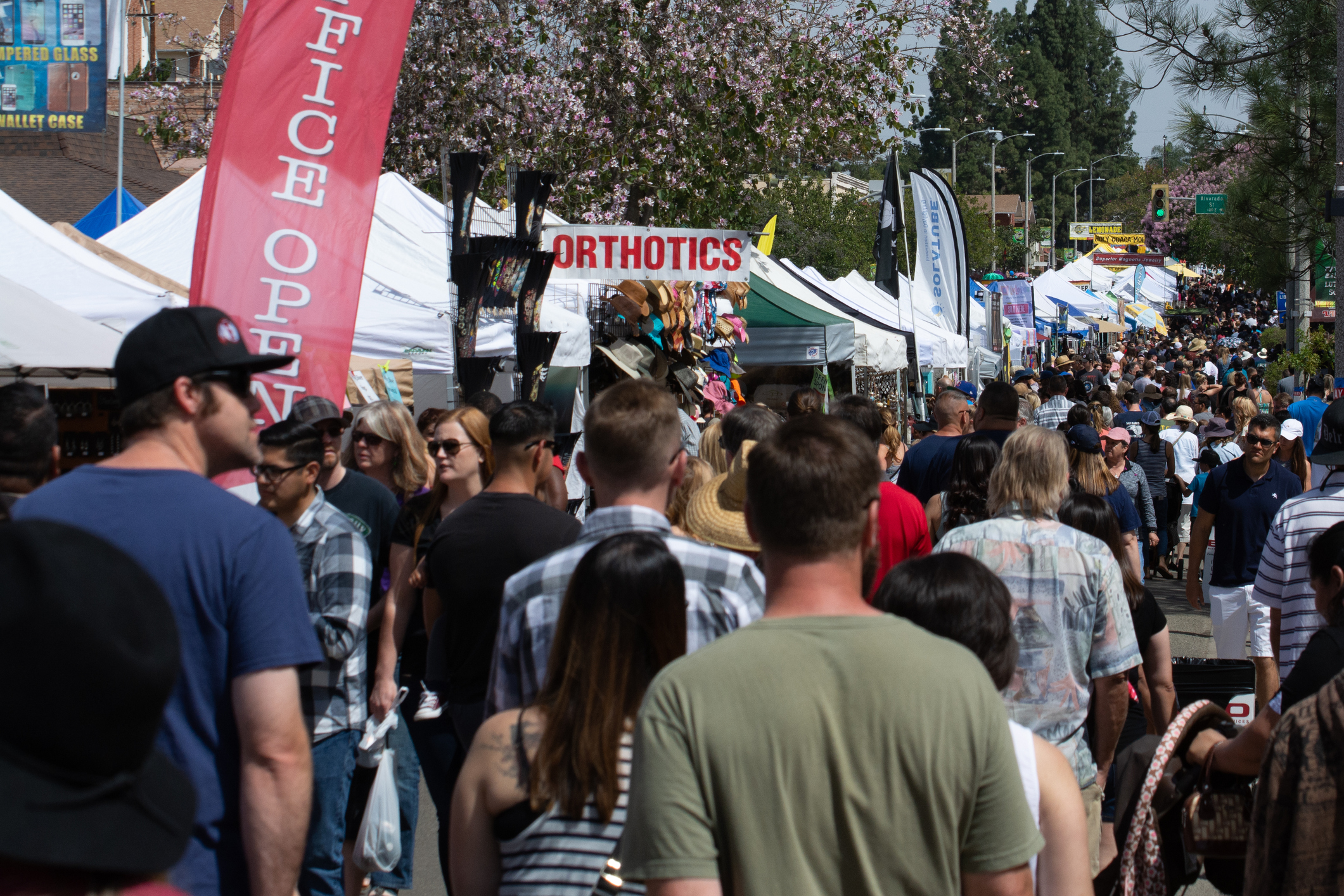 Don’t Miss this Year’s BayFest 2025 with the Family