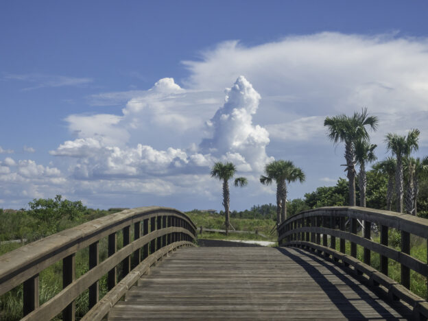 3 Unique Things to Do Near Anna Maria Island this Fall