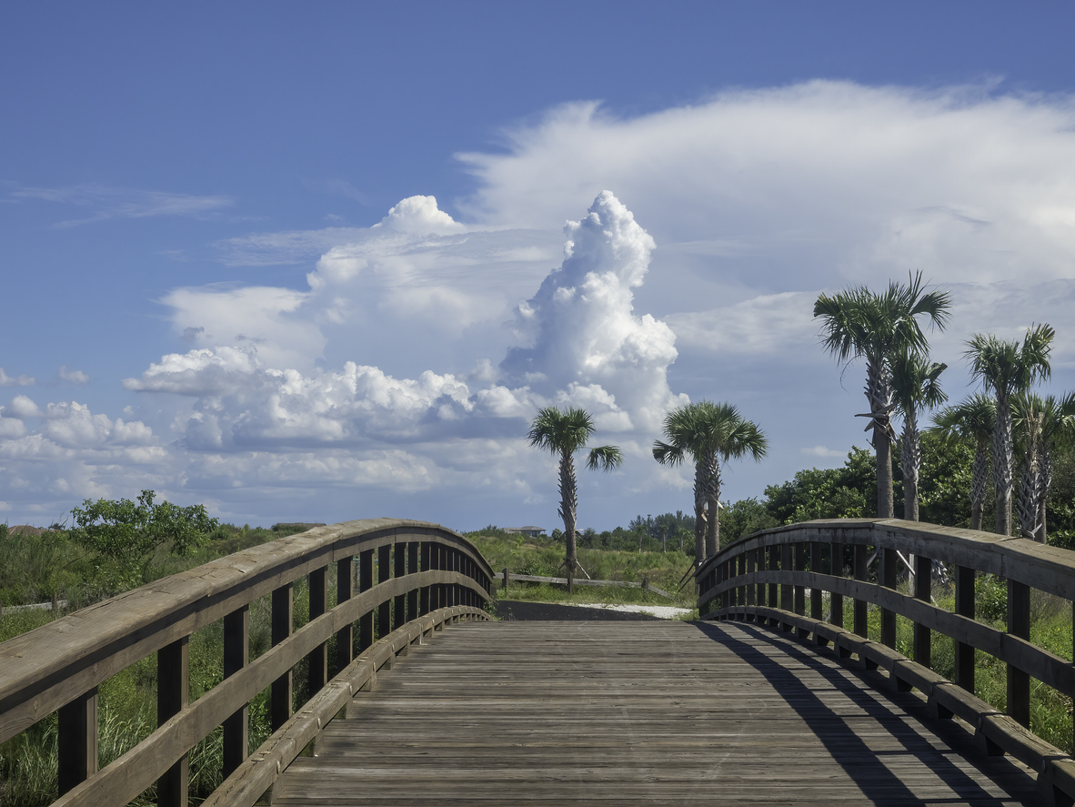 3 Unique Things to Do Near Anna Maria Island this Fall