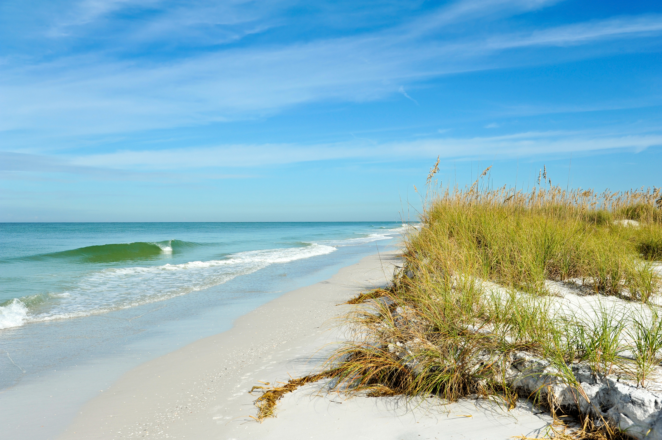3 Things to Do this Spring on Anna Maria Island