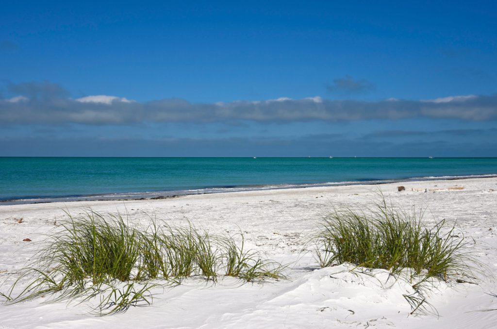Beautiful White Sand Beach and Grasses on the Coastline of Anna Maria Island, Florida