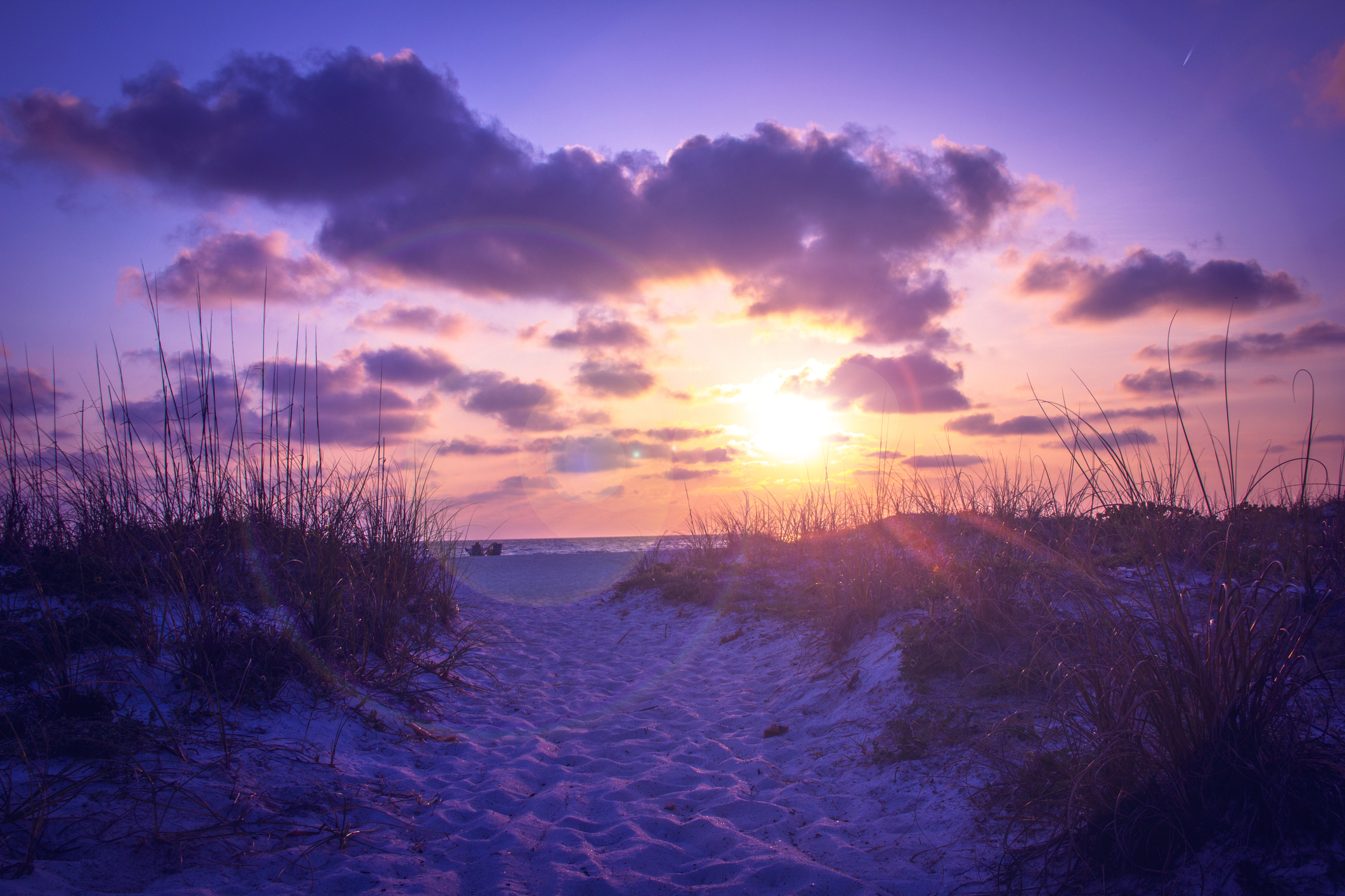 Winter is an Excellent Time of the Year to Vacation on Anna Maria Island